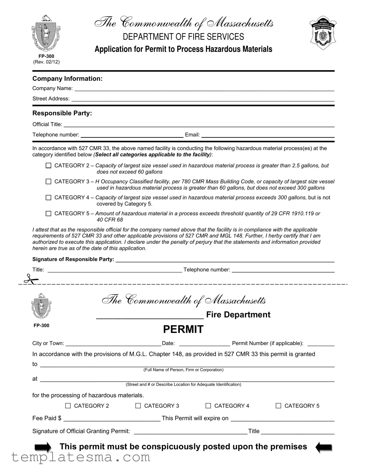Fill Your Fp 300 Massachusetts Form
