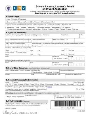 Fill Your Massachusetts Id Application Form
